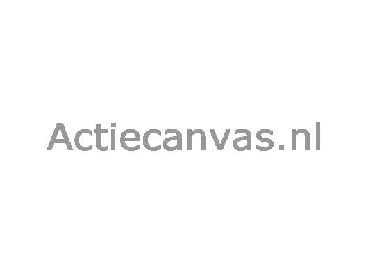Actiecanvas