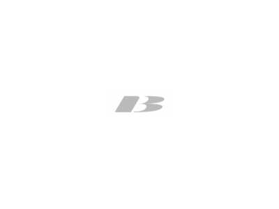 badfreeship