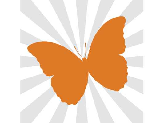 datingeasynl-de-ontmoetingsplaats-voor-singles