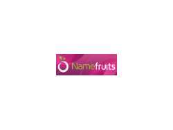 namefruits-the-name-finding-assistant
