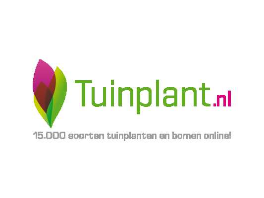 bomen-online
