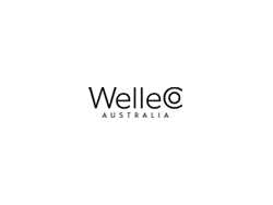 us-subscribe-and-save-20-free-shipping-at-welleco-every-month